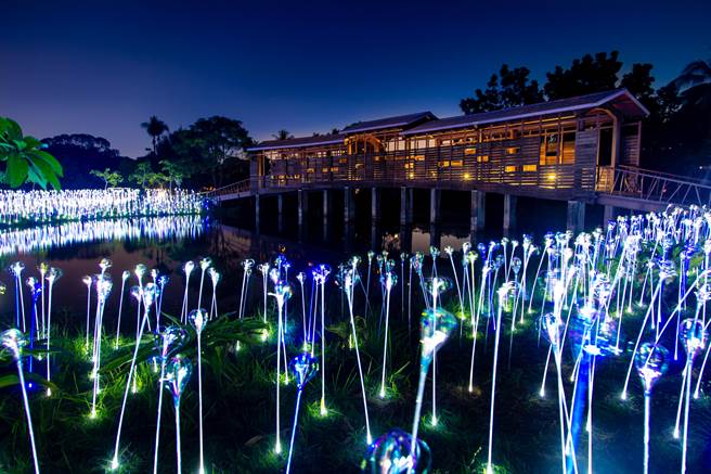 有燈會的秘密花園之稱的作品《植光．花》。（高市府提供）