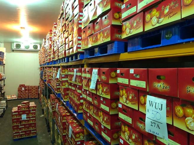 台中市农业局协助外销椪柑650公吨至新加坡、马来西亚、汶莱、日本及香港等地。（台中市农业局提供／王文吉台中传真）