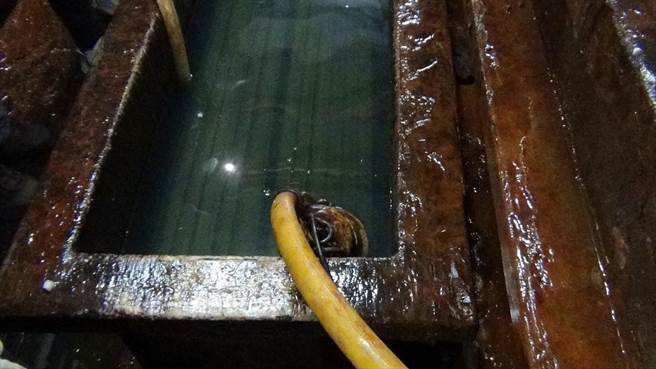 新北市樹林區三俊街巷弄內某電鍍工廠長期非法排放強酸電鍍廢水到溝渠，造成塔寮坑溪汙染。（環保局提供）