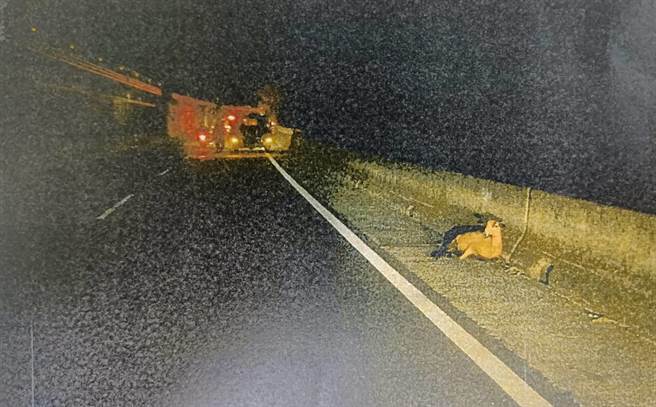 43岁古姓男子去年9月在桃园市观音区饮酒后，骑车行经台66线东向9.5公里处，与路边跑出羊只发生碰撞。（翻摄照片）