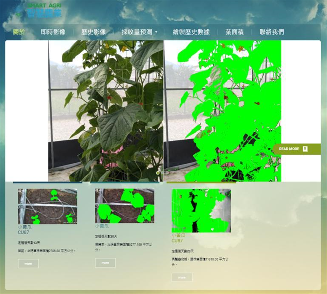 运用智慧科技监测作物。图／农试所提供