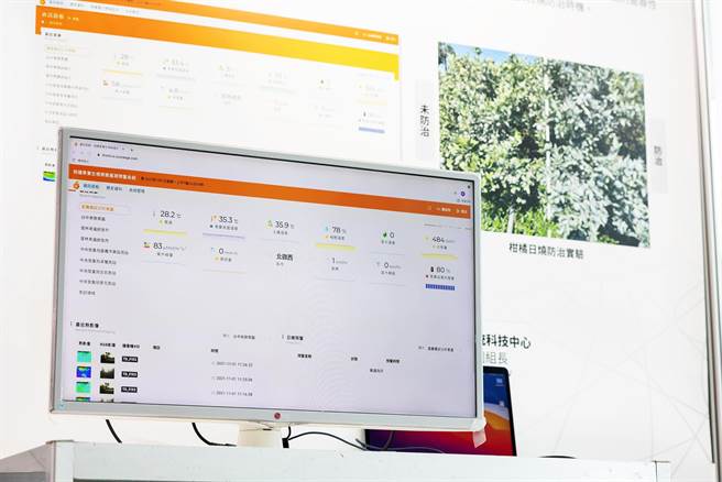 工研院与农试所合作开发的「柑橘日烧预警系统」，可于大量日烧发生的7天前发出警示，让农友及早防治，可提升约5％的总产量。（工研院提供／罗浚滨新竹传真）