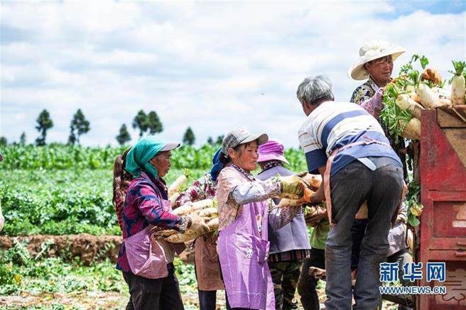 2021年大陸脫貧人口人均工資性收入達到人民幣8527元，年增22.6％。(新華社)