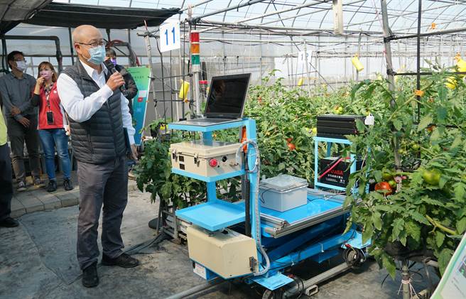 行政院農業委員會農業試驗所利用智慧科技，19日發表一款整合研發作物監測及葉面積感測系統，副研究員徐武煥指出，這套系統能掌握異常天氣及後續的產量效果，未來將成為輔助接單及生產排程的參考工具。（黃國峰攝）