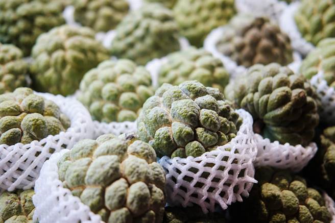 台灣的鳳梨釋迦正值產季，外銷出現困難，內銷產量又過剩。
(示意圖/shutterstock)