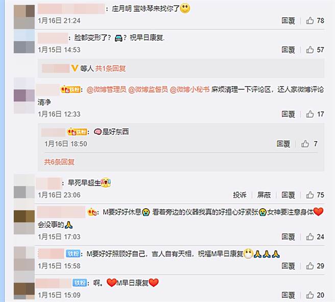 部分网友在李嘉欣微博下留毒舌评论。（图／翻摄自李嘉欣Michele微博）
