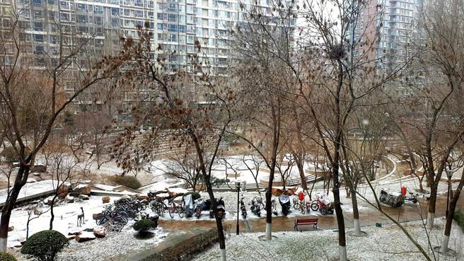 北京今天上午降下2022年的第一場雪。（藍孝威攝）