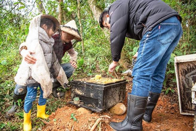 （关西六福庄推出「大地探索之旅」住房专案，鼓励客人远离都市喧嚣，走入浅山体验一日蜂农，学习採蜜的专业知识，近距离观察蜜蜂的家，最后再亲手採集蜂蜜带回家品嚐。图／六福旅游集团提供）
