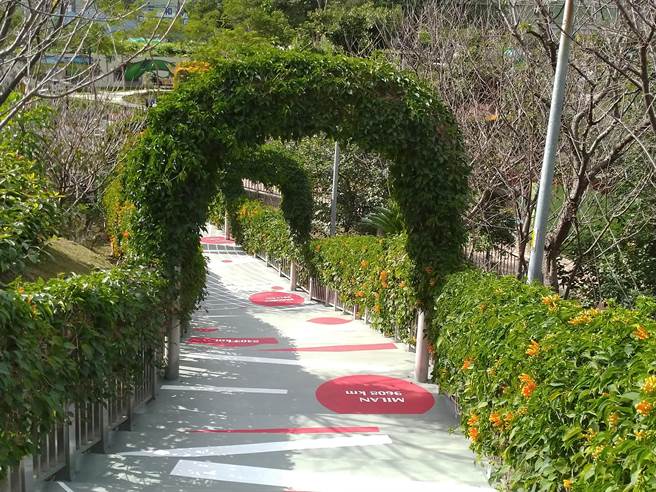 新北市鶯歌區公所近期與市府美學團隊總顧問陳俊良、臺藝大學生合作，將永吉公園的炮仗花拱門花廊步道重新設計彩繪，亮麗配色吸引不少民眾前往觀賞。（鶯歌區公所提供）