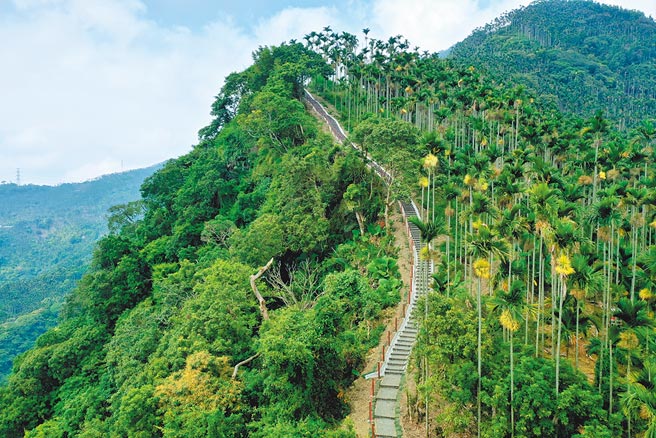 新完工的阿拔泉步道沿途景色優美。（嘉義縣政府提供／張亦惠嘉縣傳真）