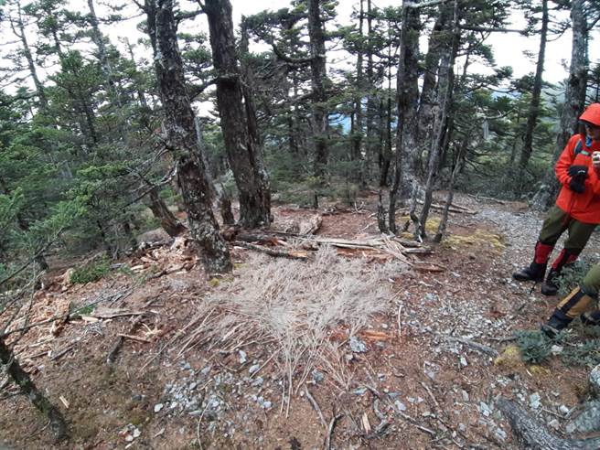 搜救人員前往大劍山搜尋失聯山友，發現有紮營痕跡。（台中市消防局提供／王文吉台中傳真）