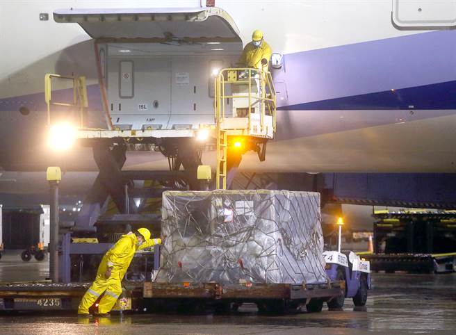 今年首批BNT上午抵台。（范阳光摄）