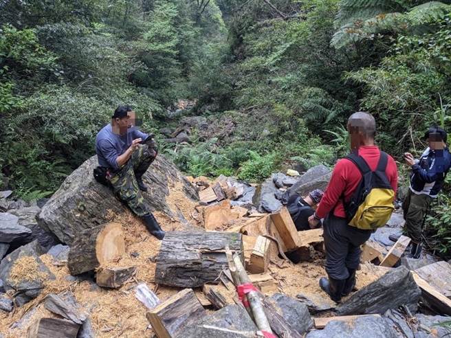 桃园地检署去年4月获报桃园市復兴区山区有盗伐集团横行情资，发现李姓男子等10人分批盗伐一级珍贵木肖楠并背负下山转卖，检方依违反森林法起诉。（检方提供）