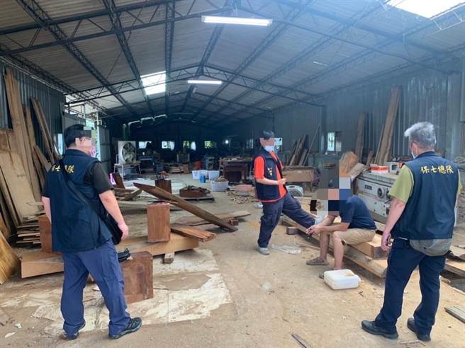 桃园地检署去年4月获报桃园市復兴区山区有盗伐集团横行情资，发现李姓男子等10人分批盗伐一级珍贵木肖楠并背负下山转卖，检方依违反森林法起诉。（检方提供）