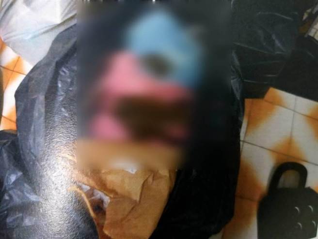 蔡姓女子饲养13只蜜袋鼯，但有6只被咬死，其余7只后来也被发现死亡，动保处将开罚。（民眾提供）