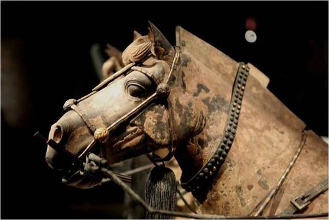 秦軍不只有厚重鎧甲，連馬匹與車輛都有嚴密的護具。圖為秦兵馬俑的馬匹。（圖／網路）