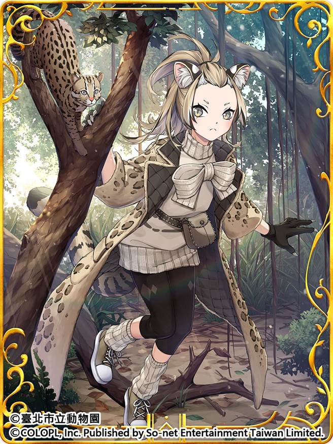 由So-net代理的《问答 RPG 魔法使与黑猫维兹》繁中版今年为了欢庆7周年，即日起推出各式登入、连抽等活动；图为浅山精灵 石虎。（So-net提供）