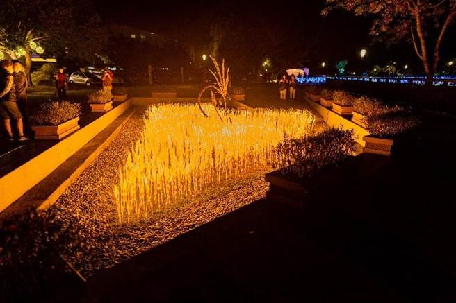 丽，吸引游客抢拍精彩画面。（台中市观旅局提供／王文吉台中传真）