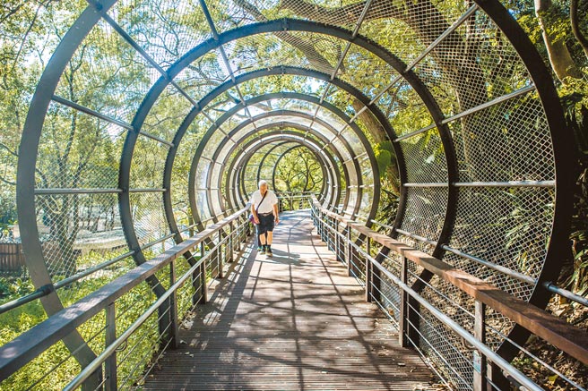 桃园精选走春6步道，图为全家老小都能走的「虎头山公园全龄友善步道」。（观旅局提供／蔡依珍桃园传真）