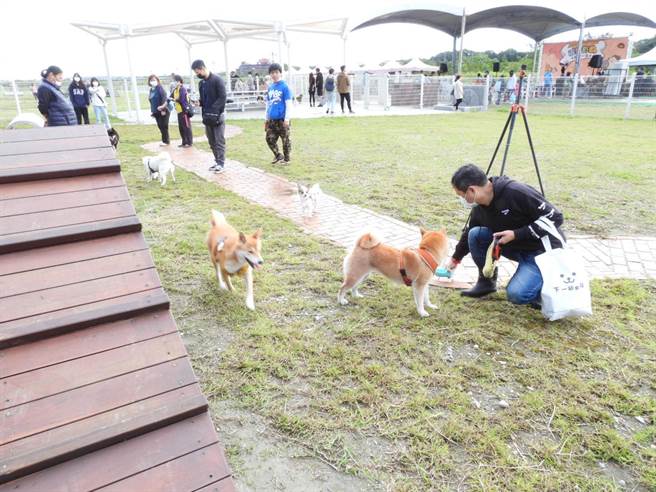 花莲县宠运动运动公园今正式启用，不少饲主一早就带着家中毛小孩前往，让牠们在草地上尽情自由奔跑。（罗亦晽摄）