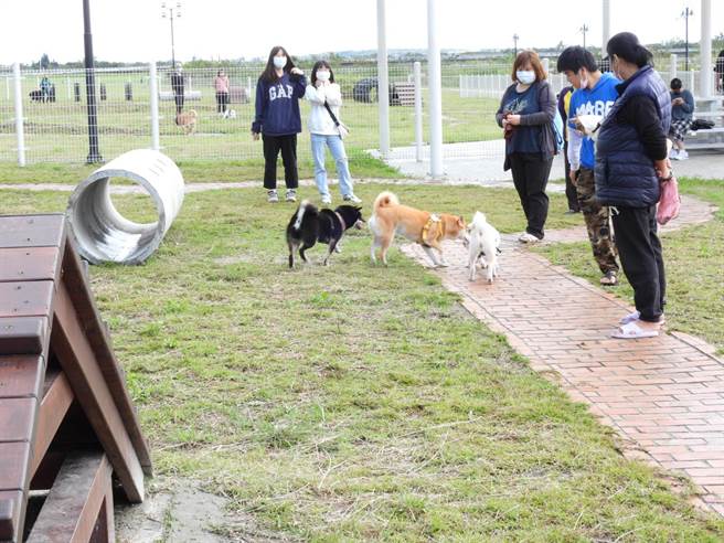 花莲县宠运动运动公园今正式启用，不少饲主一早就带着家中毛小孩前往，让牠们在草地上尽情自由奔跑。（罗亦晽摄）