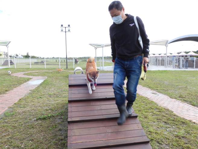 花莲县宠运动运动公园内有不少供犬只活动游憩的设施。（罗亦晽摄）
