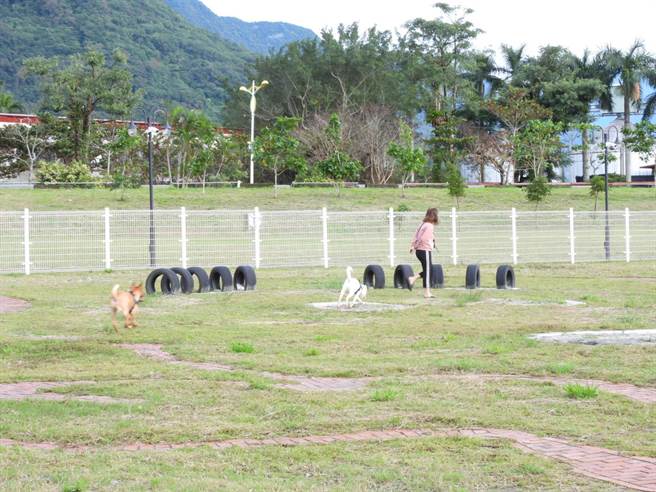 花莲县宠运动运动公园内有不少供犬只活动游憩的设施。（罗亦晽摄）
