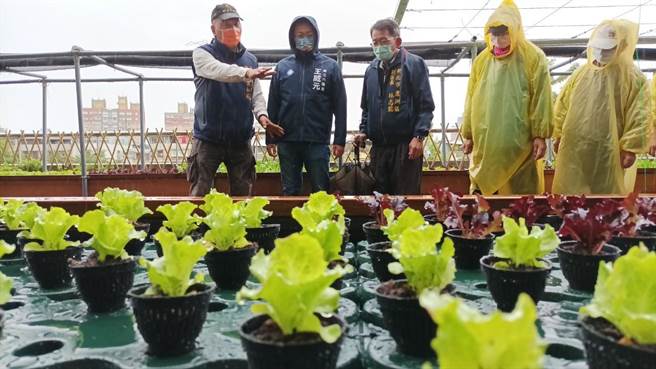 新北市議員王威元接獲里長建議後，投入建設款將3樓畸零綠地打造成結合太陽能及魚菜共生場域（戴上容攝）