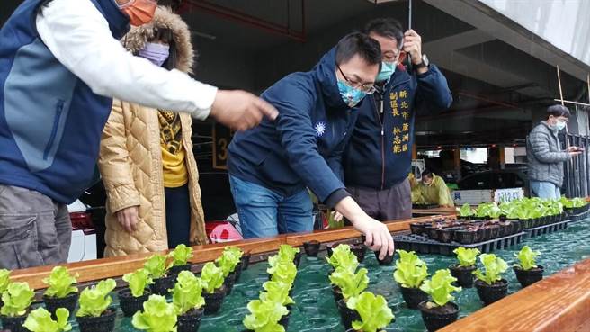 新北市議員王威元接獲里長建議後，投入建設款將3樓畸零綠地打造成結合太陽能及魚菜共生場域（戴上容攝）