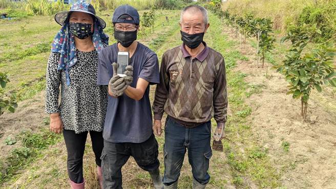 燕巢青農陳攸羽（中）與父母親對於將智慧農業運用在耕種芭樂上覺得滿意。（高雄市農業局提供／林瑞益高雄傳真）