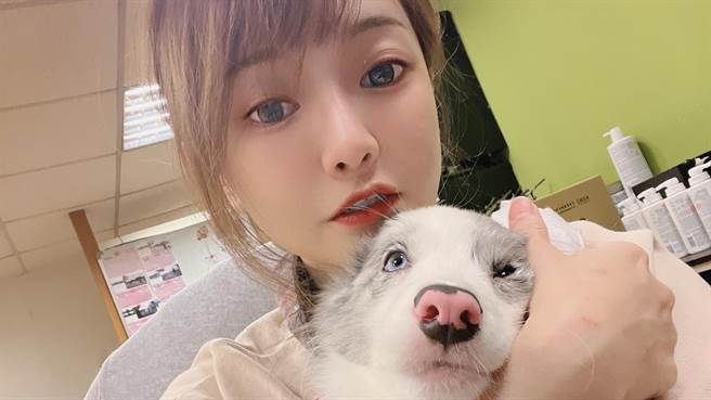 周荀日前PO出训练狗狗的影片却意外引发争议。（图／FB＠周荀DenKa）