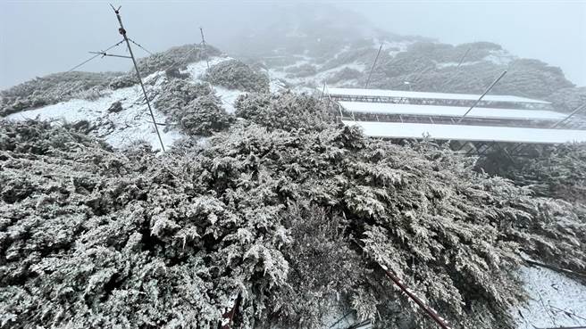 玉山今晨降雪，积雪约1公分。（玉山气象站提供）