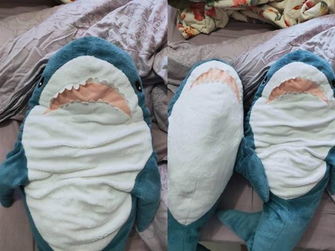 1名女网友日前送给父亲IKEA知名鲨鱼抱枕（Blahaj），没想到过了半年她发现抱枕竟消风小了一倍，圆滚滚的身躯变成「比目鱼」扁平状。（翻摄自Dcard）