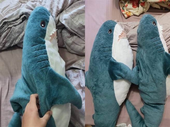 1名女网友日前送给父亲IKEA知名鲨鱼抱枕（Blahaj），没想到过了半年她发现抱枕竟消风小了一倍，圆滚滚的身躯变成「比目鱼」扁平状。（翻摄自Dcard）