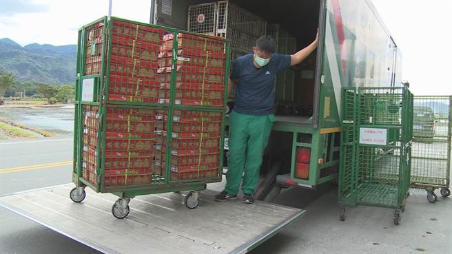 台東郵局及各大物流業近日湧入大量鳳梨釋迦包裹，造成物流大塞車。（蔡旻妤攝）