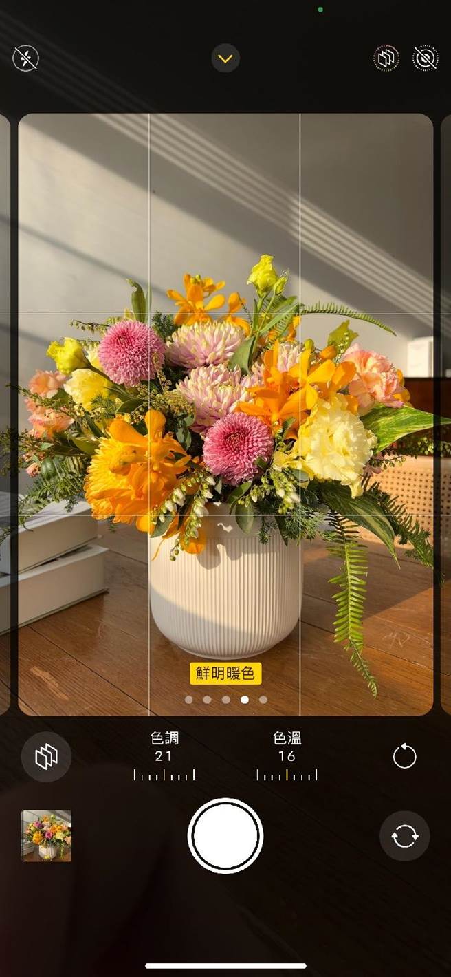 在家中拍摄盆花时，可以iPhone最新的「摄影风格」中，选择鲜明、丰富对比、暖色或冷色的色温拍摄，比起开启滤镜APP，更能保留真实、改善色偏问题。（苹果提供）