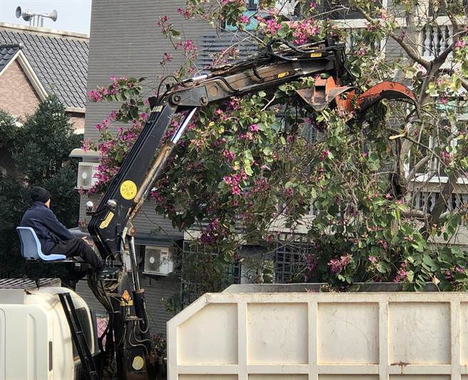 各乡镇公所清洁队投入环境清洁周，环境景观焕然一新。（李金生摄）