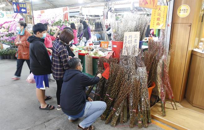 选购过年应景花卉，大里国光花市热闹滚滚，其中银柳受开店做生意民眾欢迎。（国光花市提供／黄国峰台中传真）