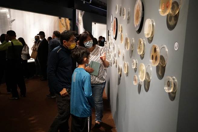 科博馆推出《眼不见微菌—微真菌特展》，带民眾了解与人类息息相关的微真菌。（科博馆提供／陈淑芬台中传真）