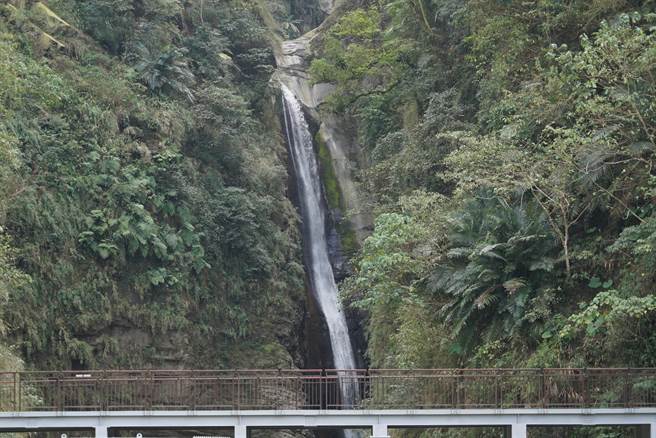 2013年时瑞龙瀑布的景观平台与步道因疑似有人乱丢菸蒂引发火灾，导致部分步道与景观平台烧毁，2019年修復后重新开园，2020年11月因设置全新停车场、步道、观瀑平台等才再度关园。(吴建辉摄)