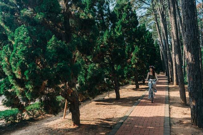 金门海上公园花木扶疏，最适合铁马遶岛游。（金门县府观光处提供）