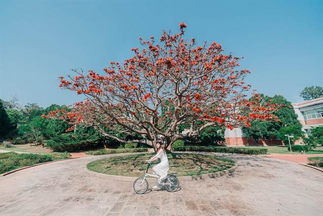 金门全岛自行车路网更加完善后，让铁马族可以悠閒畅游金门自然、人文之美。。（金门县府观光处提供）