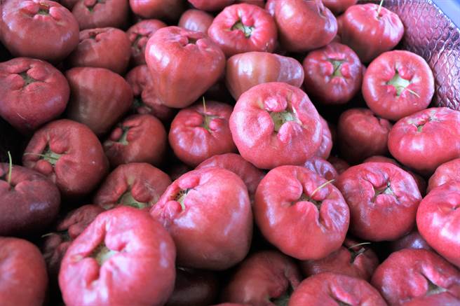 受极端气候影响，今年农历年前的莲雾产量较去年同期约少1／3，且果粒偏小，不过卖价却昂扬不少。（谢佳潾摄）