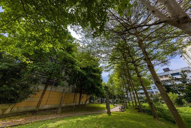 「国泰悠境」尽享千坪新阳绿带第一排，同时拥有生活高品质及绝佳保值性。(图/业者提供)