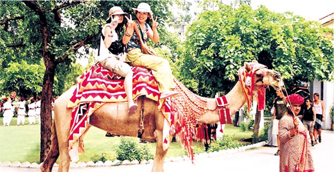 拉賈斯坦邦：齋薩美市騎駱駝