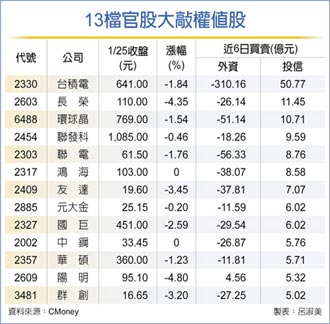 護盤不手軟 鎖定加碼13檔權值股 官股連買303億