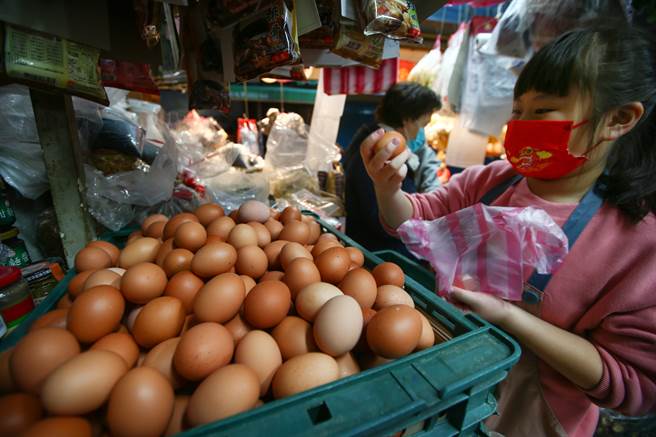 全台鸡蛋供不应求。（图／报系资料照）
