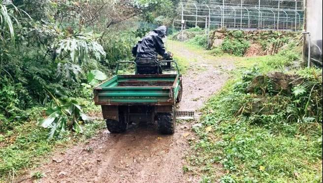 四轮车。（作者提供）