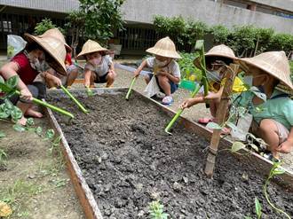 幼兒園打造植栽與烹飪課 學童當起小小農夫學習愛環境