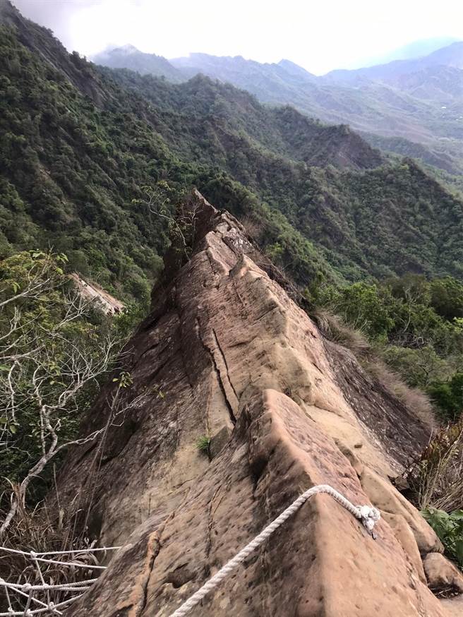 台南楠西梅岭有多条登山步道。（台南市农业局提供／刘秀芬台南传真）